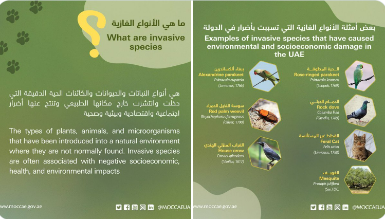 Invasive species